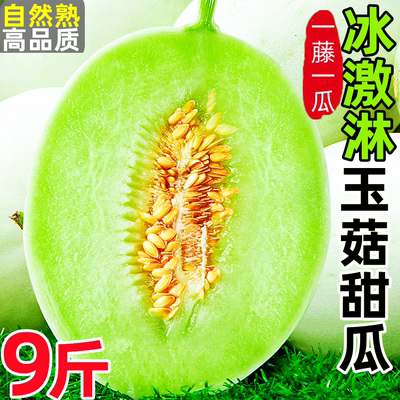 现货速发！5A级冰激凌玉菇瓜