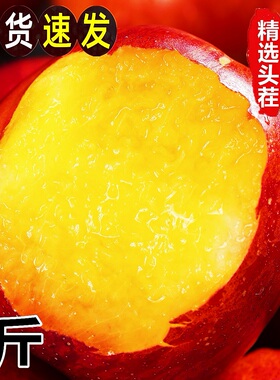 黄心油桃5斤新鲜当季水果整箱孕妇蜜脆甜桃子应季大水密桃包邮10
