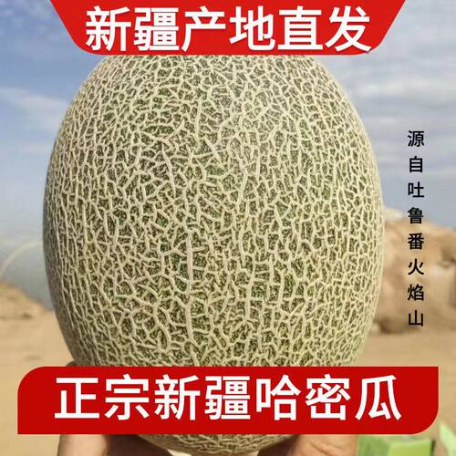正宗火焰山哈密瓜！新疆直发