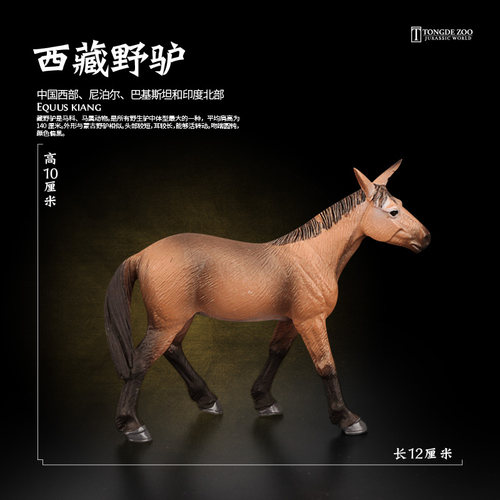 西藏野驴模型动物玩具环保材质