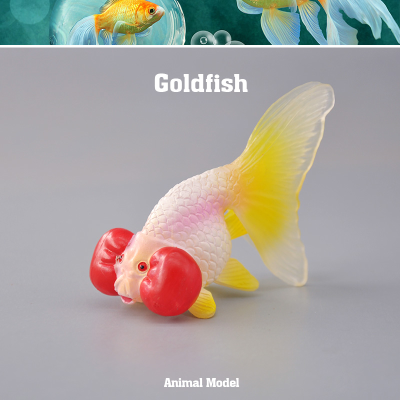 童德水泡金鱼模型宠物鱼动物玩具