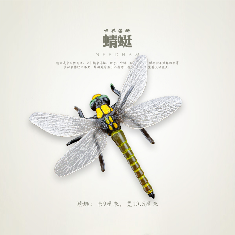 蜻蜓模型仿真昆虫动物玩具儿童