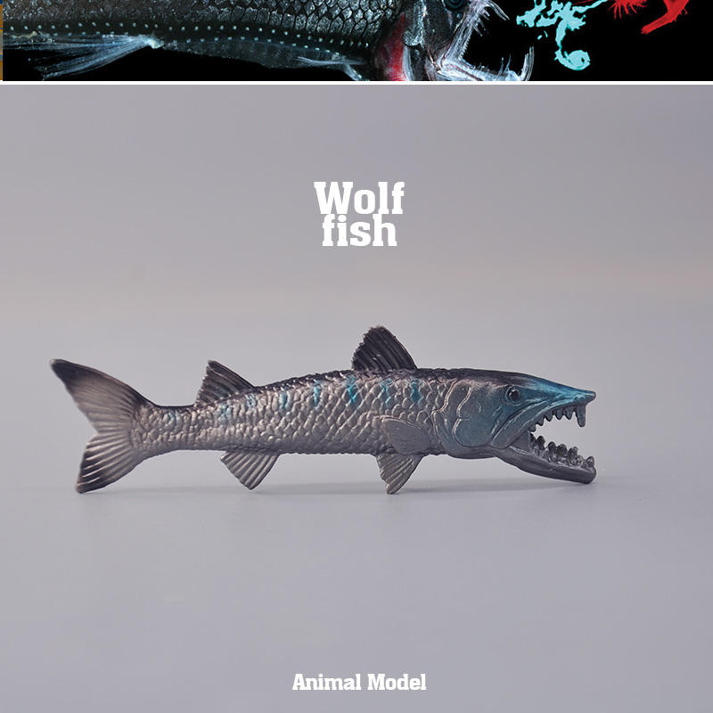 童德小狼鱼模型海洋动物玩具