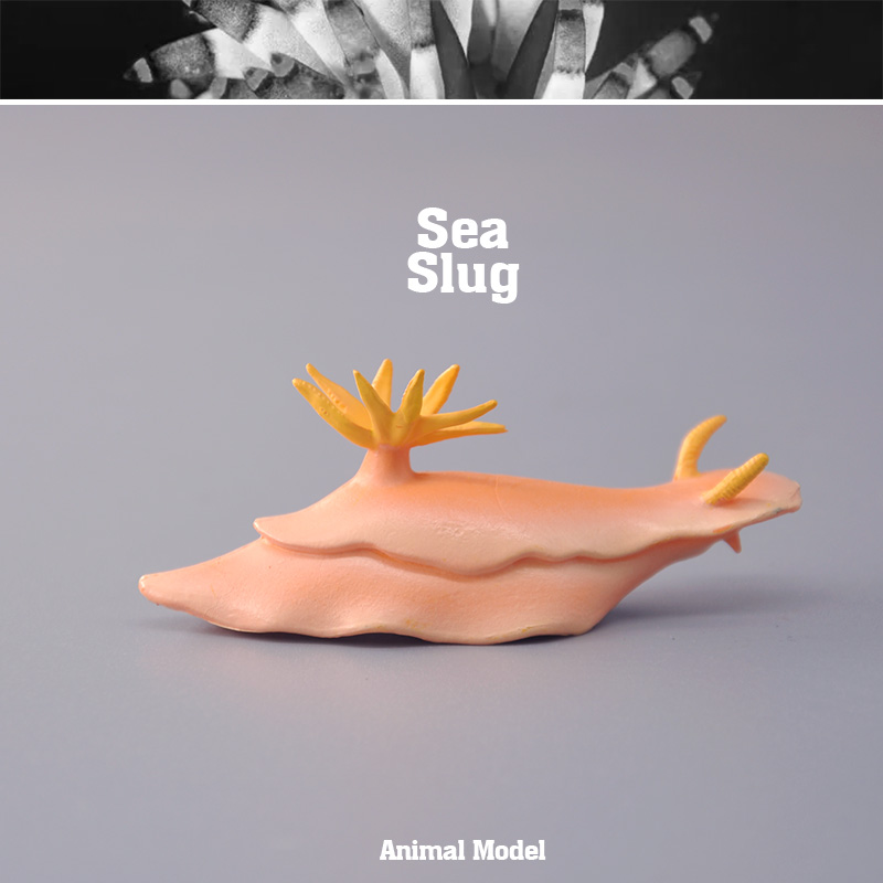 童德海蛞蝓模型海洋动物玩具