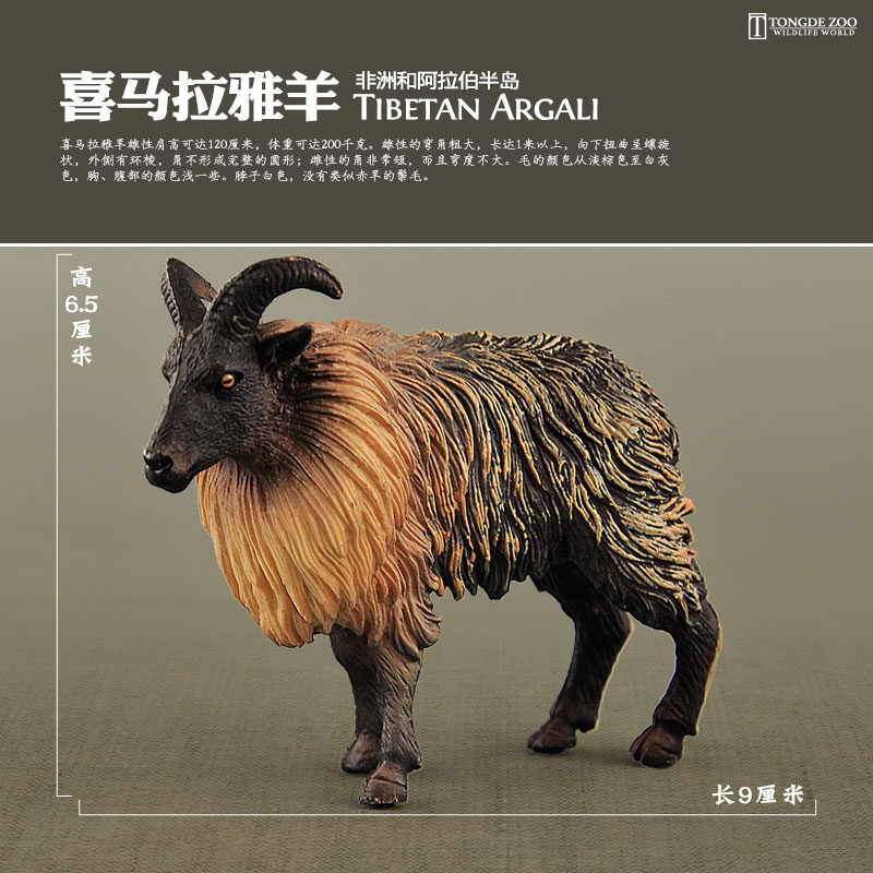 童德动物模型玩具实心仿真羊喜马拉雅羊塔尔羊野山羊儿童认知益智