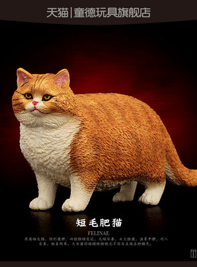 童德仿真动物玩具模型短毛肥猫波斯加菲塑胶灰色猫咪儿童礼物摆件