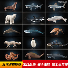 正版 玩具仿真动物模型海洋生物鲨鱼鲸鱼海豚企鹅海龟螃蟹摆件儿童