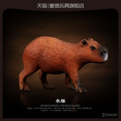 童德仿真动物玩具模型水豚水豚鼠卡皮巴拉水栖食草啮齿儿童益智