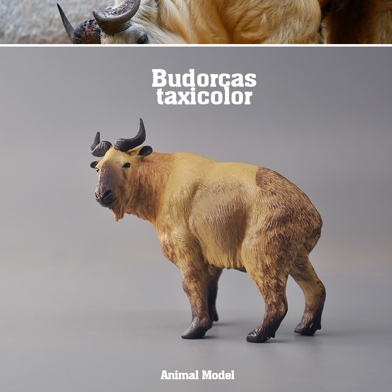 ͯ·涯ţģҰŤţëŤ֪ͯڼ