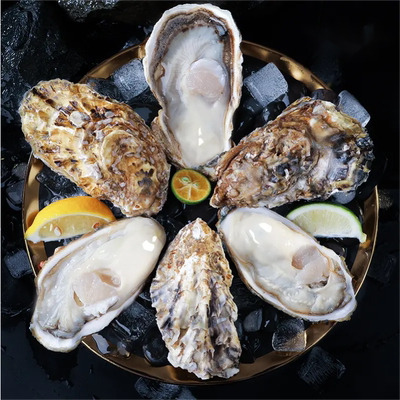 生蚝鲜活肥美海鲜刺身