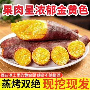 榴莲蜜薯新鲜黄金5斤蜜薯地瓜正宗沙地现挖红薯香甜板栗红薯整箱