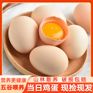 40g鲜鸡蛋 正宗农家散养草鸡蛋月子蛋谷物蛋宝宝营养早餐