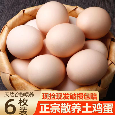 农村散养土鸡蛋6枚*50g农家新鲜现捡草鸡蛋柴鸡蛋鲜鸡蛋谷物营养