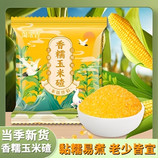 正宗东北香糯玉米碴米饭伴侣当季新米小碴子玉米粘碴子可煮饭煮粥