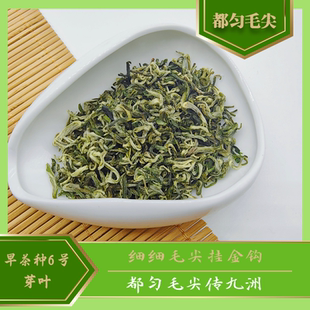 2025 新茶 都匀毛尖 土茶种 芽叶