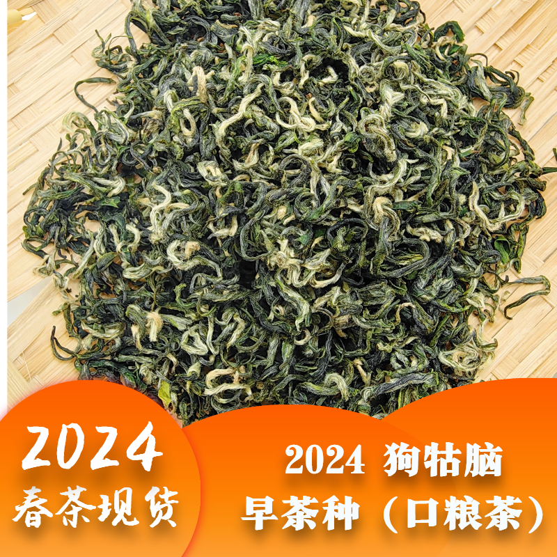 2024 狗牯脑 早茶种（口粮茶）