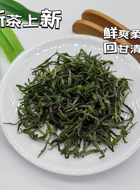 2026 保靖黄金茶2号头采