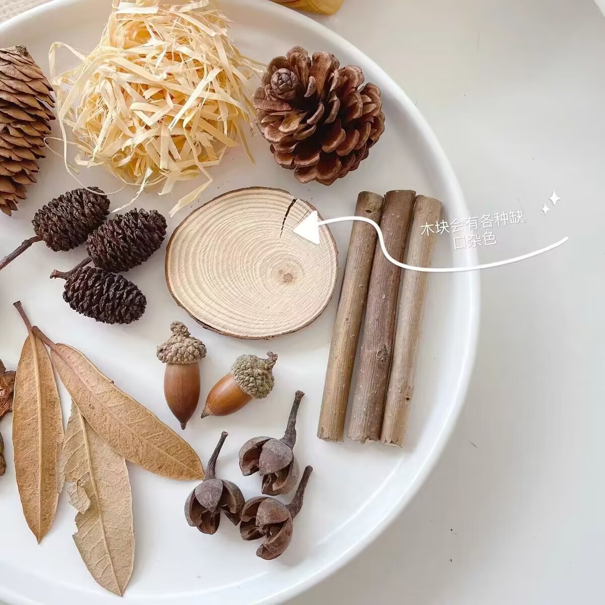 ins森林复古天然干果干花套装