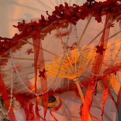 新款古风汉服手持花伞羽毛配饰