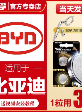 南孚传应比亚迪汽车钥匙遥控器纽扣电池G5宋S6/G6/S7/G3/F0/F3/L3