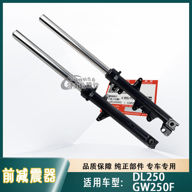 适用豪爵铃木摩托车DL250前减震器GW250F左右避震器前叉 原厂原装