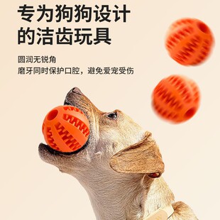新款 幼犬软胶宠物狗狗解闷玩具耐咬洁齿磨牙球消耗狗狗精力