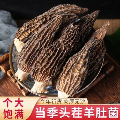 头茬羊肚菌干货50g官方旗舰店云南特产蘑菇牛肚菌菇礼盒,粮油调味/速食/干货/烘焙,羊肚菌,淘宝优惠券,粉丝福利购,淘宝优惠卷