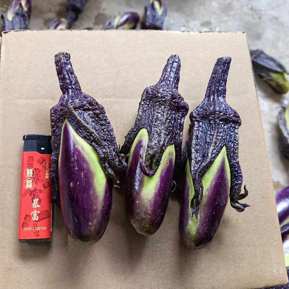 云南老品种小茄子新鲜紫茄