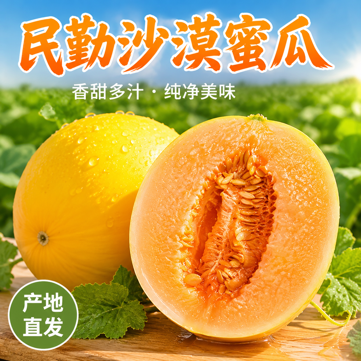 甘肃武威民勤脆甜爽口哈密瓜