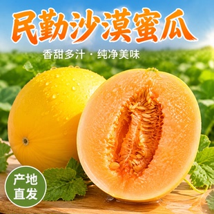 甘肃民勤蜜瓜武威沙漠黄河哈密瓜脆甜爽口新鲜水果甜瓜黄金红金宝
