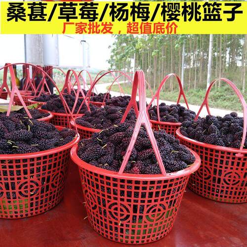 圆形草莓蓝子手提塑料篮水果园蔬菜篮采摘杨梅桑葚樱桃枇杷框