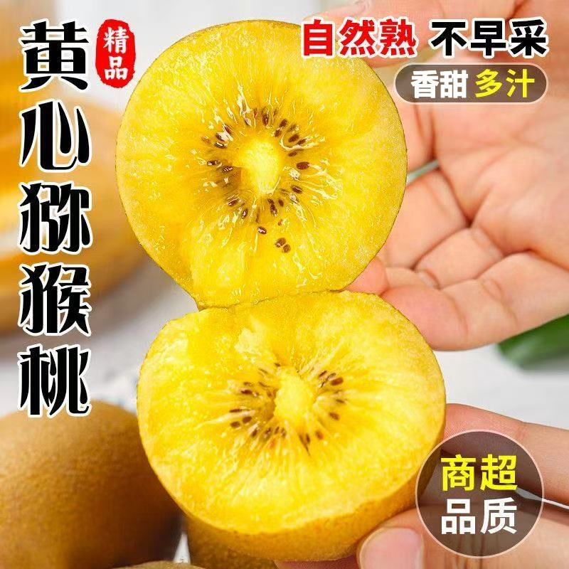 6个黄心猕猴桃奇异果新鲜孕妇应季水果薄皮包邮精品整箱产地直发