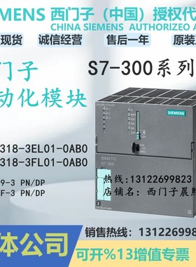 CPU正品319-3 PN/DP处理器6ES7318-3EL01-0AB0西门子300模块7 318