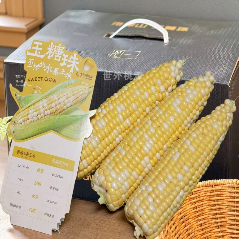顺丰玉糖珠水果玉米生吃爆浆新鲜现摘云南非转基因抱津山花香玉米