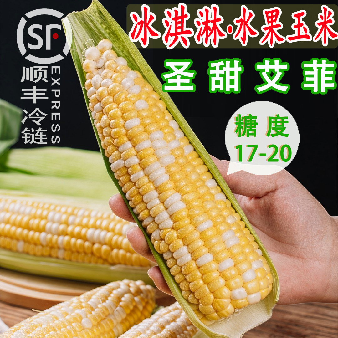 顺丰圣甜艾菲水果玉米玉糖珠花香生吃爆浆新鲜现摘云南非转基因棒