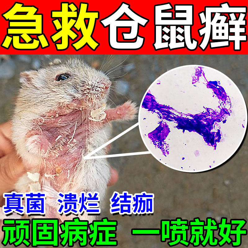 仓鼠皮肤病喷剂荷兰猪金丝熊真菌感染皮肤藓掉毛皮屑红肿止痒专用