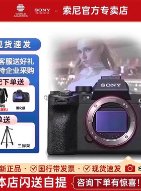 Sony索尼A7SM3 A7S3 全画幅微单数码相机4K高清旅游视频ILCE-7SM3