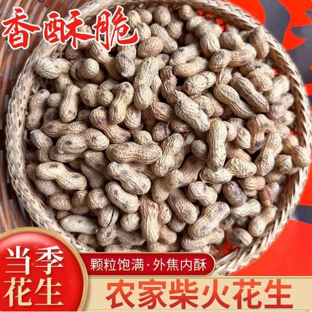 炒白沙花生铁锅原味带壳坚果零食