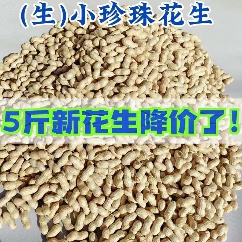 5斤装净重生小珍珠花生农家自种新鲜晒干带壳小花生可榨油可播种
