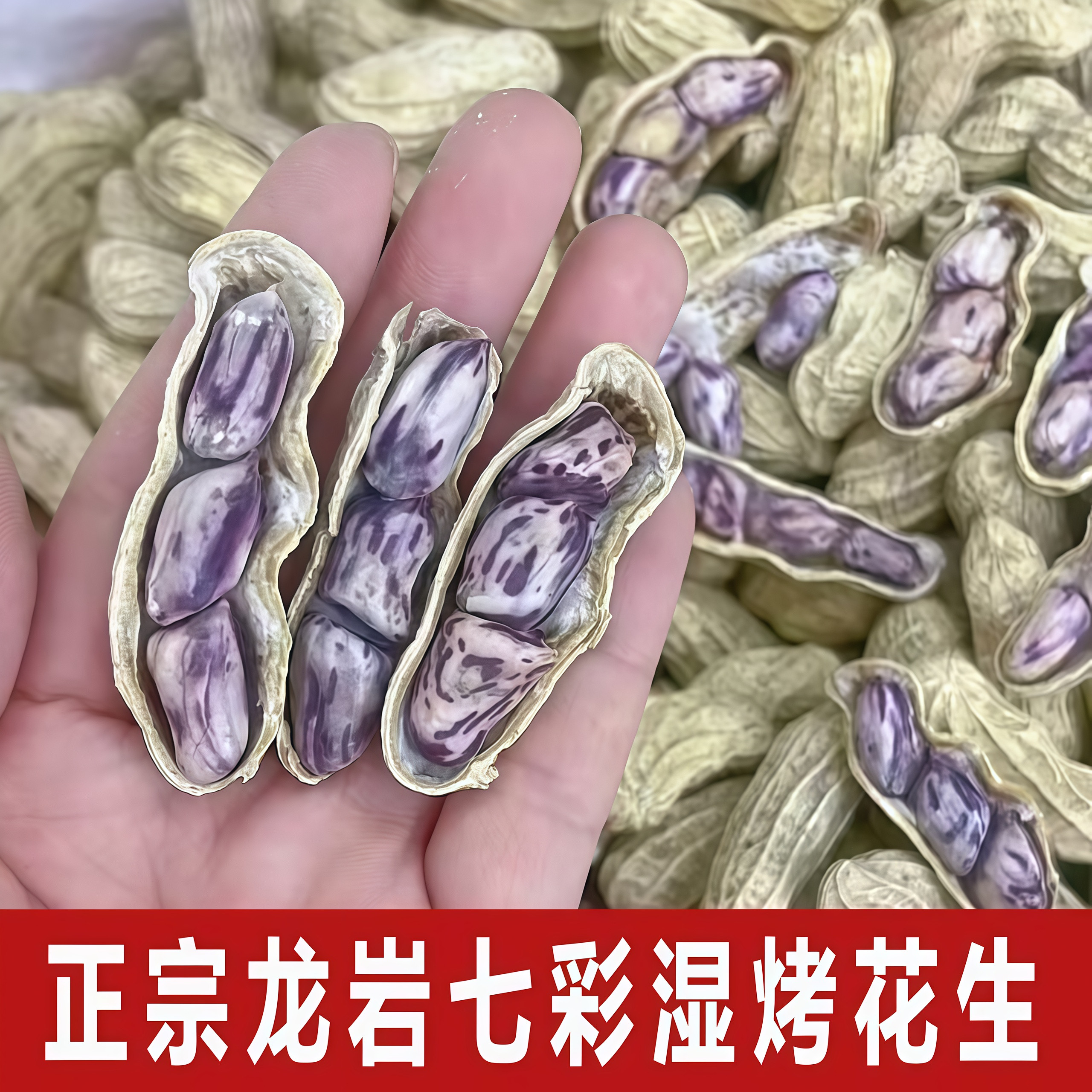 福建龙岩湿烤花生正宗云南七彩花生水煮咸干带壳香脆花生果下酒菜