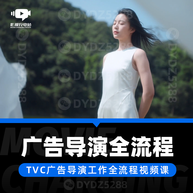影视广告TVC导演工作全流程 影视导演创意文案分镜头脚本摄影调色