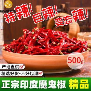 印度魔鬼椒500g正宗干辣椒海椒魔鬼辣椒龙息辣椒超辣王特辣变态辣