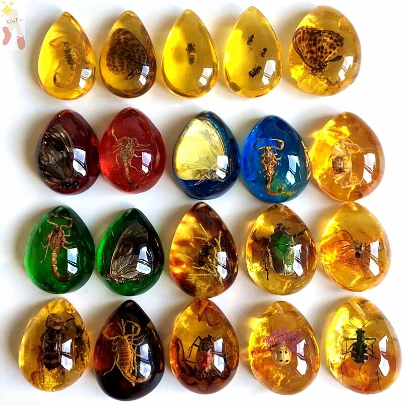 昆虫琥珀吊坠天然蝴蝶标本虫珀项链带虫子动物挂件制作儿童挂饰品