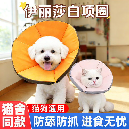 伊丽莎白圈猫咪小狗绝育圈可调节
