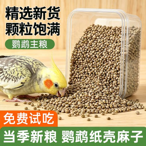 脆！【央妈力荐】鹦鹉纸壳麻子