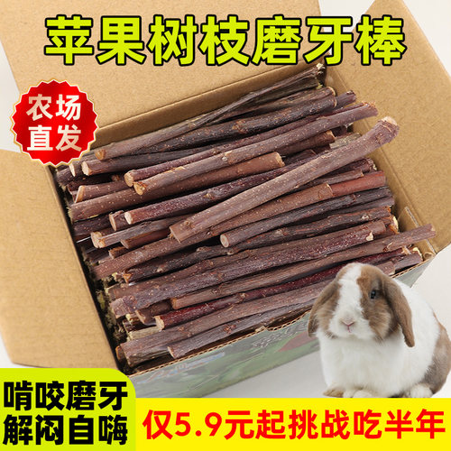 兔子仓鼠苹果树枝磨牙棒天然新鲜纤维可食用龙猫豚鼠小宠磨牙专用