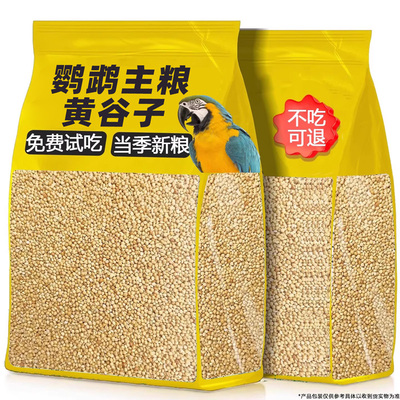 【全网热销】虎皮牡丹玄风黄谷子