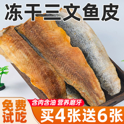 冻干三文鱼皮狗狗磨牙棒磨牙零食耐咬洁富含鱼油猫咪通用食鱼尾齿