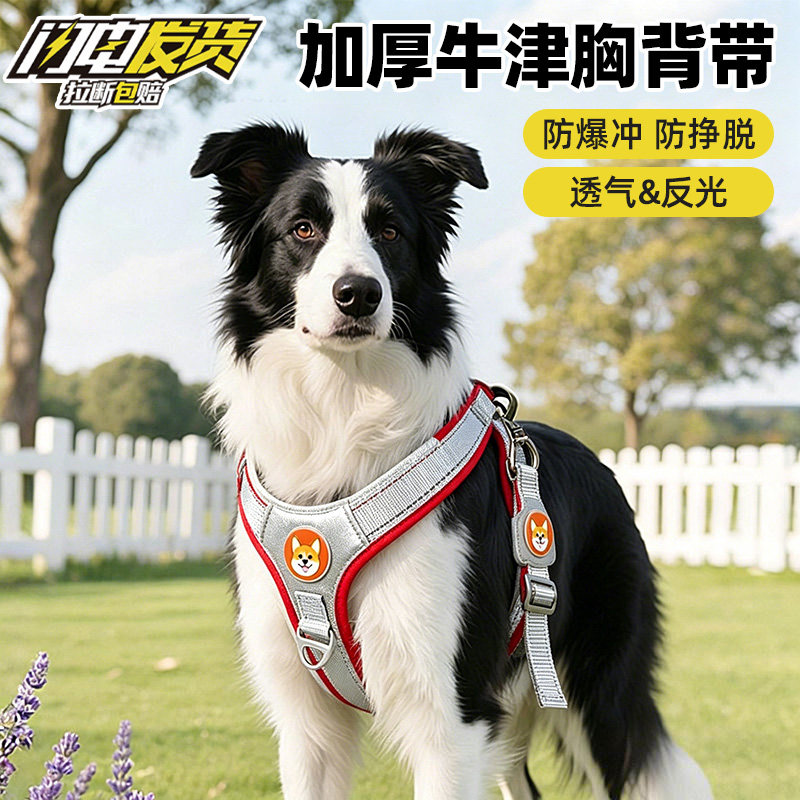 狗狗胸背带牵引绳反光透气背心式宠物遛狗绳柴犬柯基泰迪狗链子