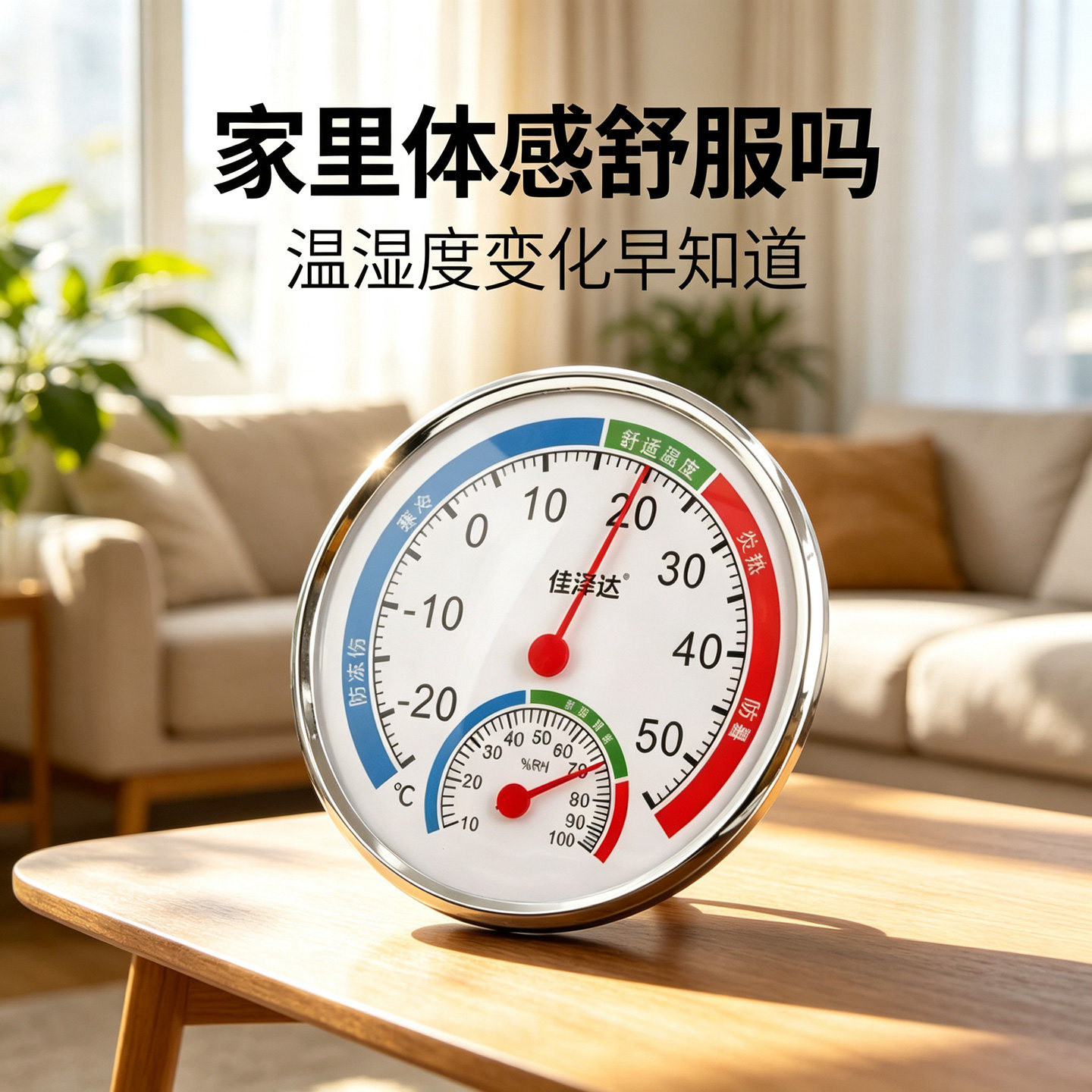 室内温度计高精度精准气温计